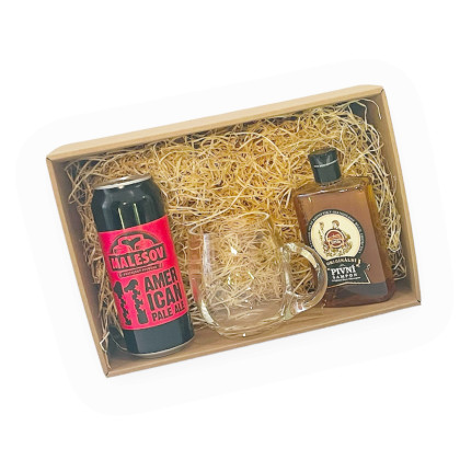 Gift Beer Box Saela (3in1)